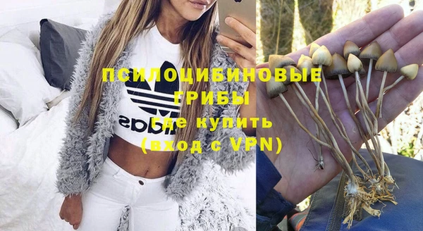 бутират Михайлов