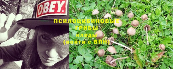 бутират Михайлов